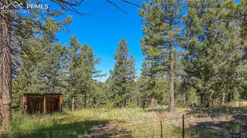 3723 Omer Ln, Divide, CO 80814 photo 7