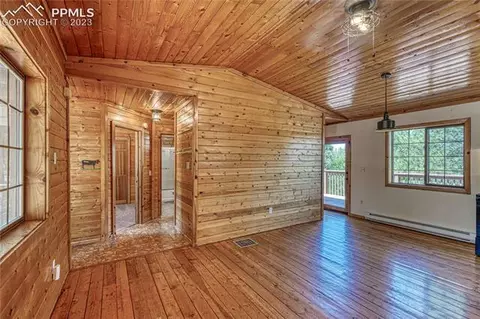 3723 Omer Ln, Divide, CO 80814 photo 15