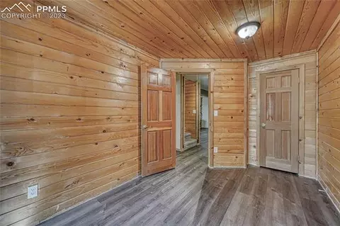 3723 Omer Ln, Divide, CO 80814 photo 35