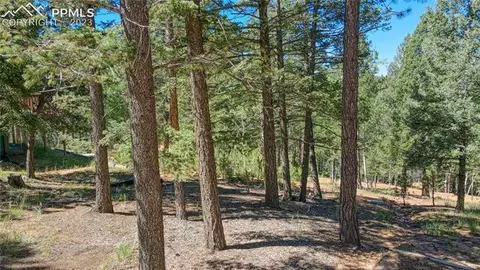 3723 Omer Ln, Divide, CO 80814 photo 42