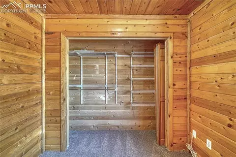 3723 Omer Ln, Divide, CO 80814 photo 26