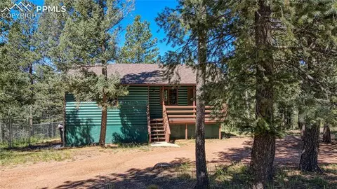 3723 Omer Ln, Divide, CO 80814 photo 39
