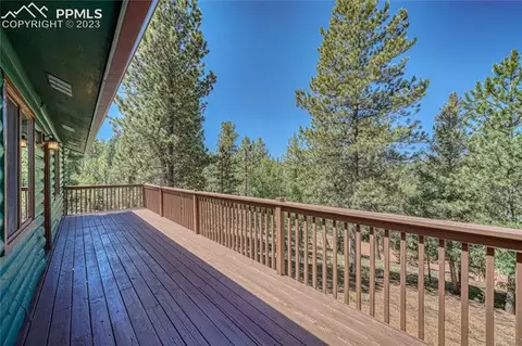 3723 Omer Ln, Divide, CO 80814 photo 43