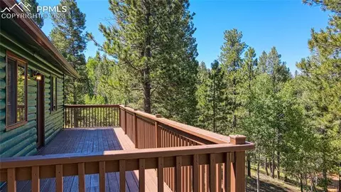 3723 Omer Ln, Divide, CO 80814 photo 11