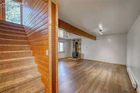 3723 Omer Ln, Divide, CO 80814 photo 28
