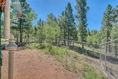 3723 Omer Ln, Divide, CO 80814 photo 38
