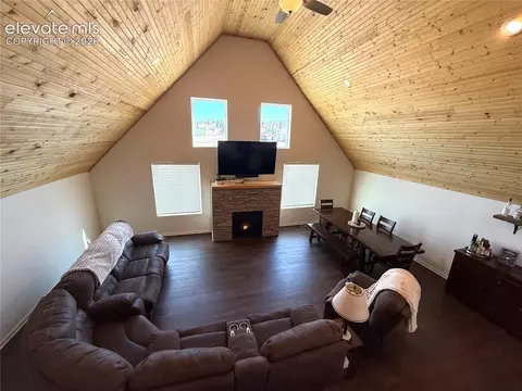 Living - 61 Stripling Ln, Divide, CO 80814 photo 3 of 3