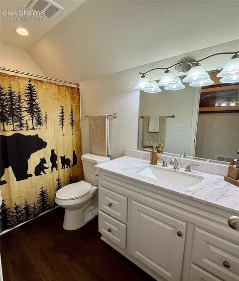 Bath - 61 Stripling Ln, Divide, CO 80814 photo 4 of 4