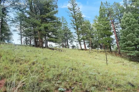 131 Lost Lake Cir, Divide, CO 80814