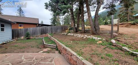 9955 Mesa Rd, Cascade, CO 80809 photo 8