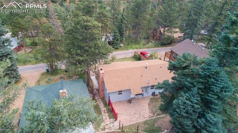 9955 Mesa Rd, Cascade, CO 80809 photo 6