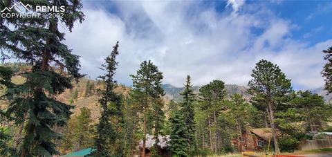 9955 Mesa Rd, Cascade, CO 80809 photo 11