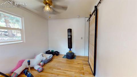 9955 Mesa Rd, Cascade, CO 80809 photo 23