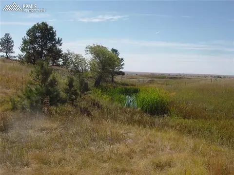 16225 Reata Rd, Peyton, CO 80831 photo 5