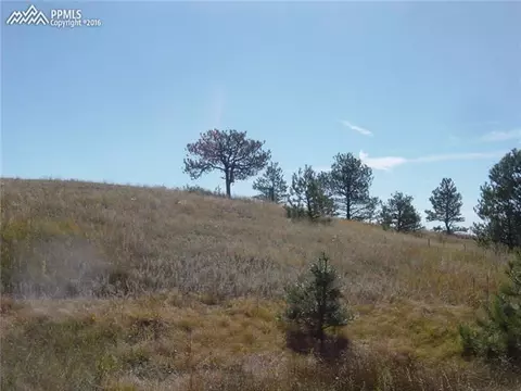 16225 Reata Rd, Peyton, CO 80831 photo 7