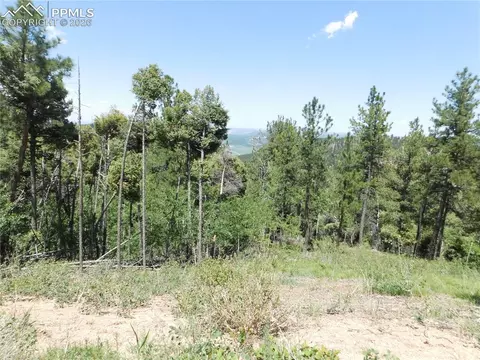 13670 Spruce Creek Cir, Larkspur, CO 80118