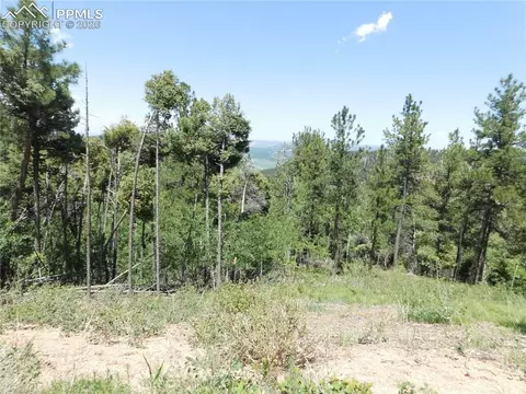 13670 Spruce Creek Cir, Larkspur, CO 80118
