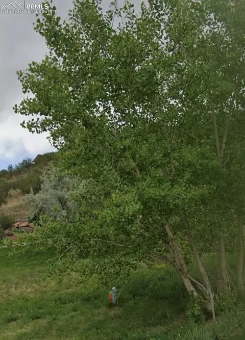 1223 Ethereal Cir, Colorado Springs, CO 80904