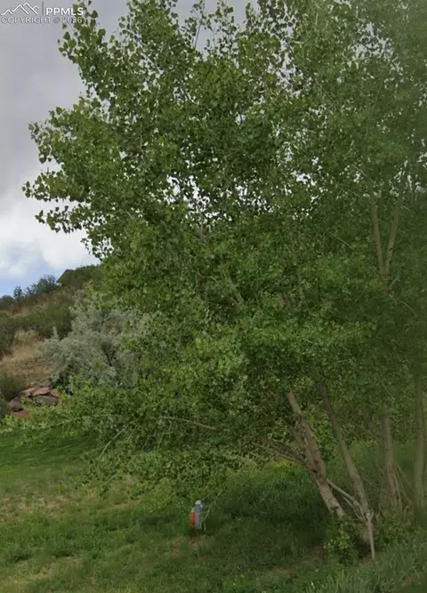 1223 Ethereal Cir, Colorado Springs, CO 80904