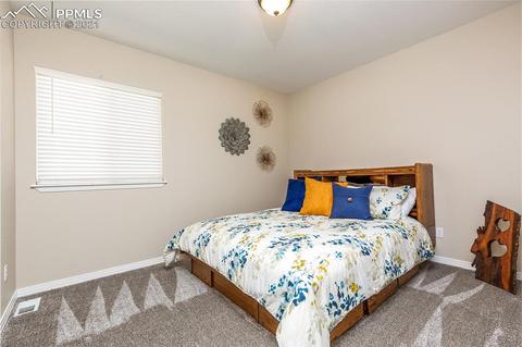 11229 Indian Echo Ter, Peyton, CO 80831 photo 20