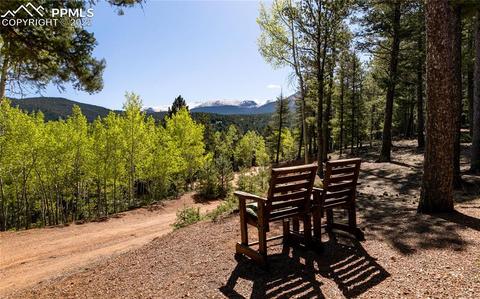 90 Fluorite Ln, Divide, CO 80814 photo 23