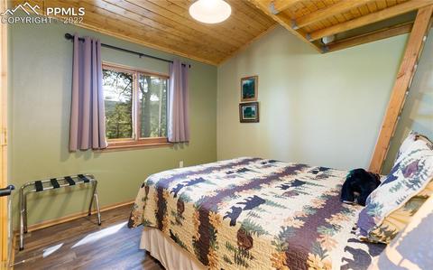 90 Fluorite Ln, Divide, CO 80814 photo 16