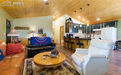 90 Fluorite Ln, Divide, CO 80814 photo 3