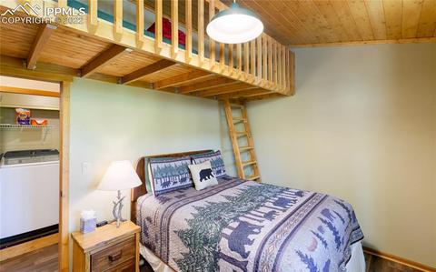 90 Fluorite Ln, Divide, CO 80814 photo 14