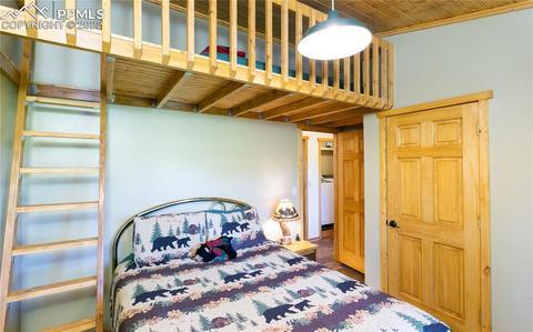 90 Fluorite Ln, Divide, CO 80814 photo 17
