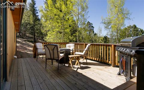 90 Fluorite Ln, Divide, CO 80814 photo 20