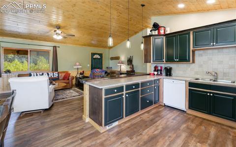 90 Fluorite Ln, Divide, CO 80814 photo 7