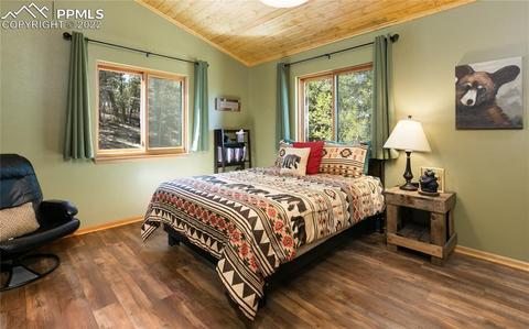 90 Fluorite Ln, Divide, CO 80814 photo 10