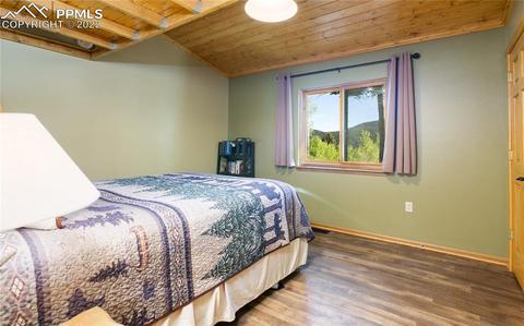 90 Fluorite Ln, Divide, CO 80814 photo 13