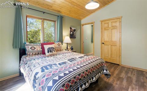 90 Fluorite Ln, Divide, CO 80814 photo 11