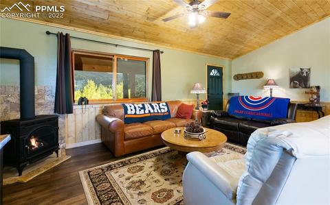 90 Fluorite Ln, Divide, CO 80814 photo 5