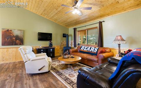 90 Fluorite Ln, Divide, CO 80814 photo 4