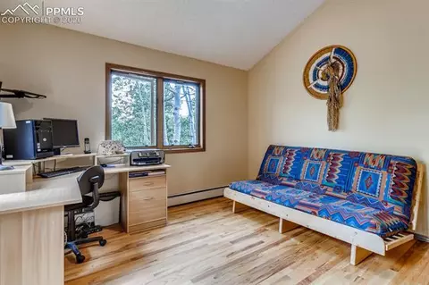 80 Aspen Way, Divide, CO 80814 photo 12