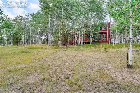 80 Aspen Way, Divide, CO 80814 photo 28