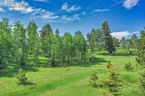 244 Pine Bluff Rd, Divide, CO 80814 photo 6