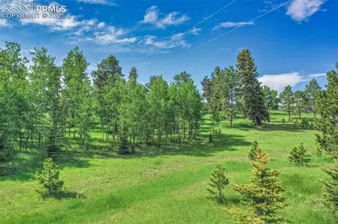 244 Pine Bluff Rd, Divide, CO 80814 photo 6