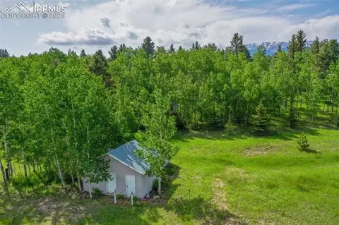 244 Pine Bluff Rd, Divide, CO 80814 photo 5