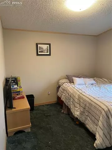 16840 Wagon Train Loop, Peyton, CO 80831 photo 20