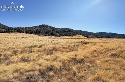 Other - 1115 Eagles Gate Rd, Westcliffe, CO 81252 photo 18 of 21