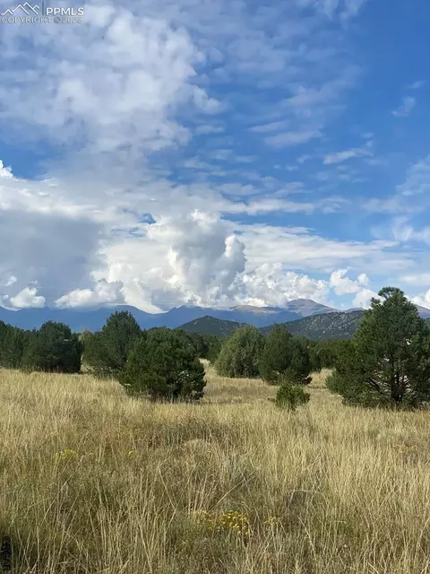 1613 20th Trl, Cotopaxi, CO 81223