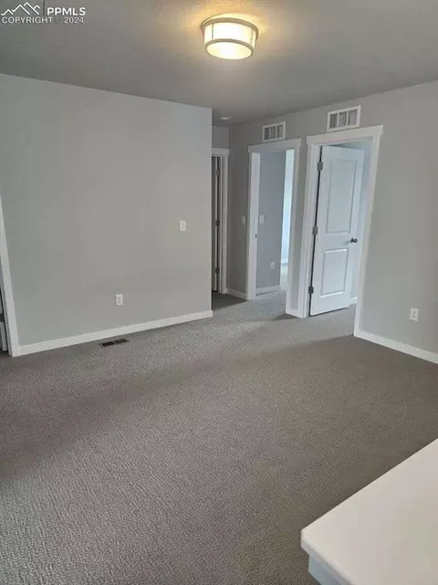 Other - 17708 Lemon Rye Loop, Monument, CO 80132 photo 3 of 7