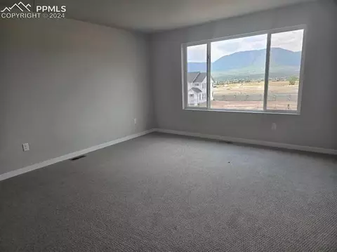 17708 Lemon Rye Loop, Monument, CO 80132 photo 8