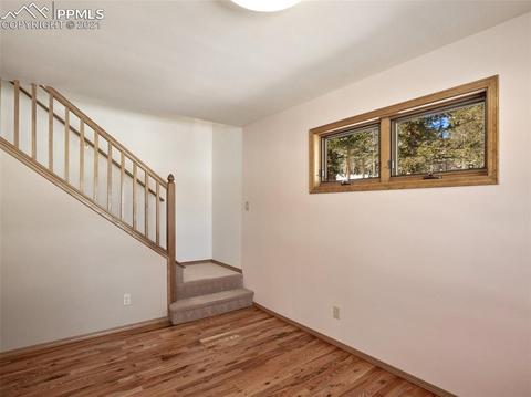 1133 Spring Valley Dr, Divide, CO 80814 photo 35