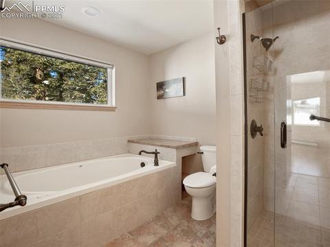 1133 Spring Valley Dr, Divide, CO 80814 photo 32
