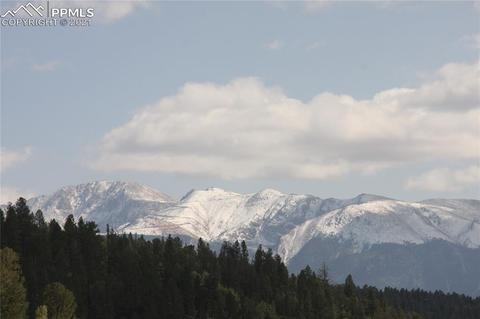1133 Spring Valley Dr, Divide, CO 80814 photo 49