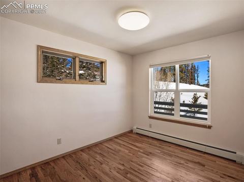 1133 Spring Valley Dr, Divide, CO 80814 photo 33